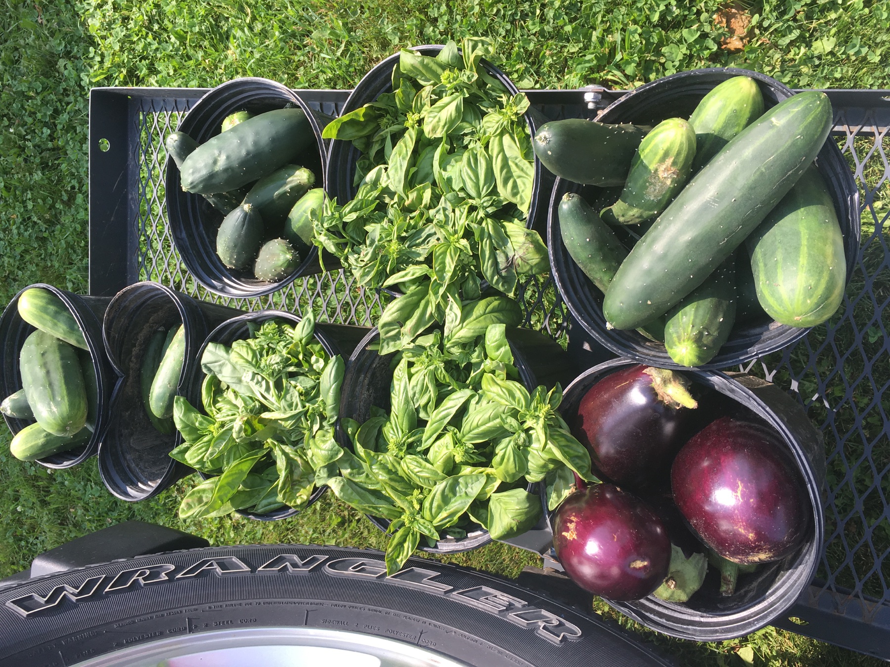 Farm Fresh Produce